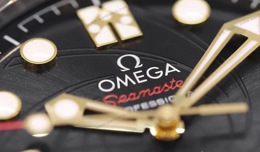 OR Factory Omega Seamaster 300M Queen's Envoy Takvimsiz Model İnceleme — 3. fotoğraf