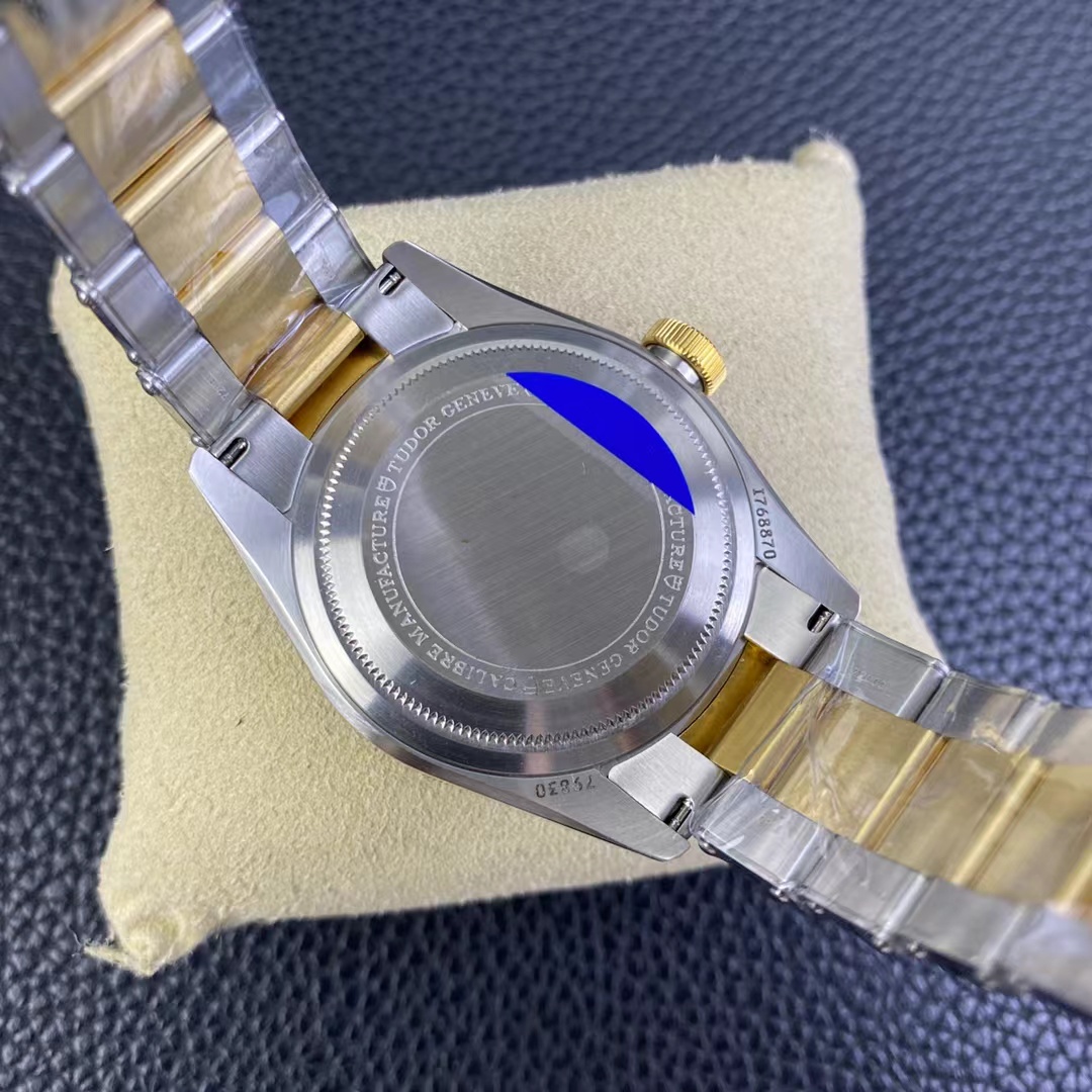 Tudor Black Bay GMT Kasa Arkası