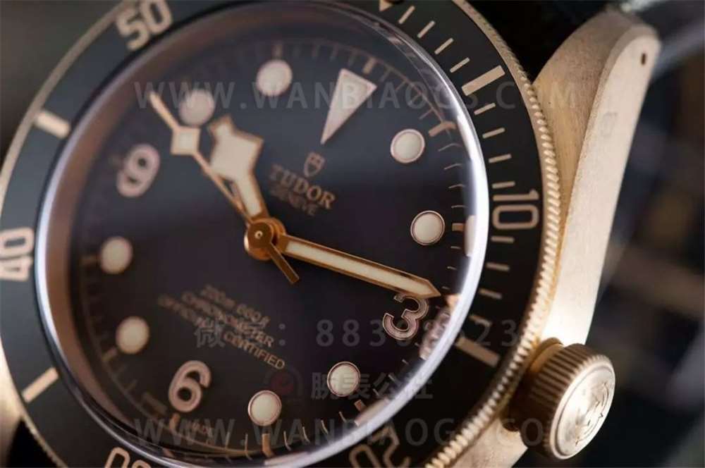 XF Factory Tudor Black Bay serisi "Arduvaz Grisi" bronz saat işçilik incelemesi — 3. fotoğraf