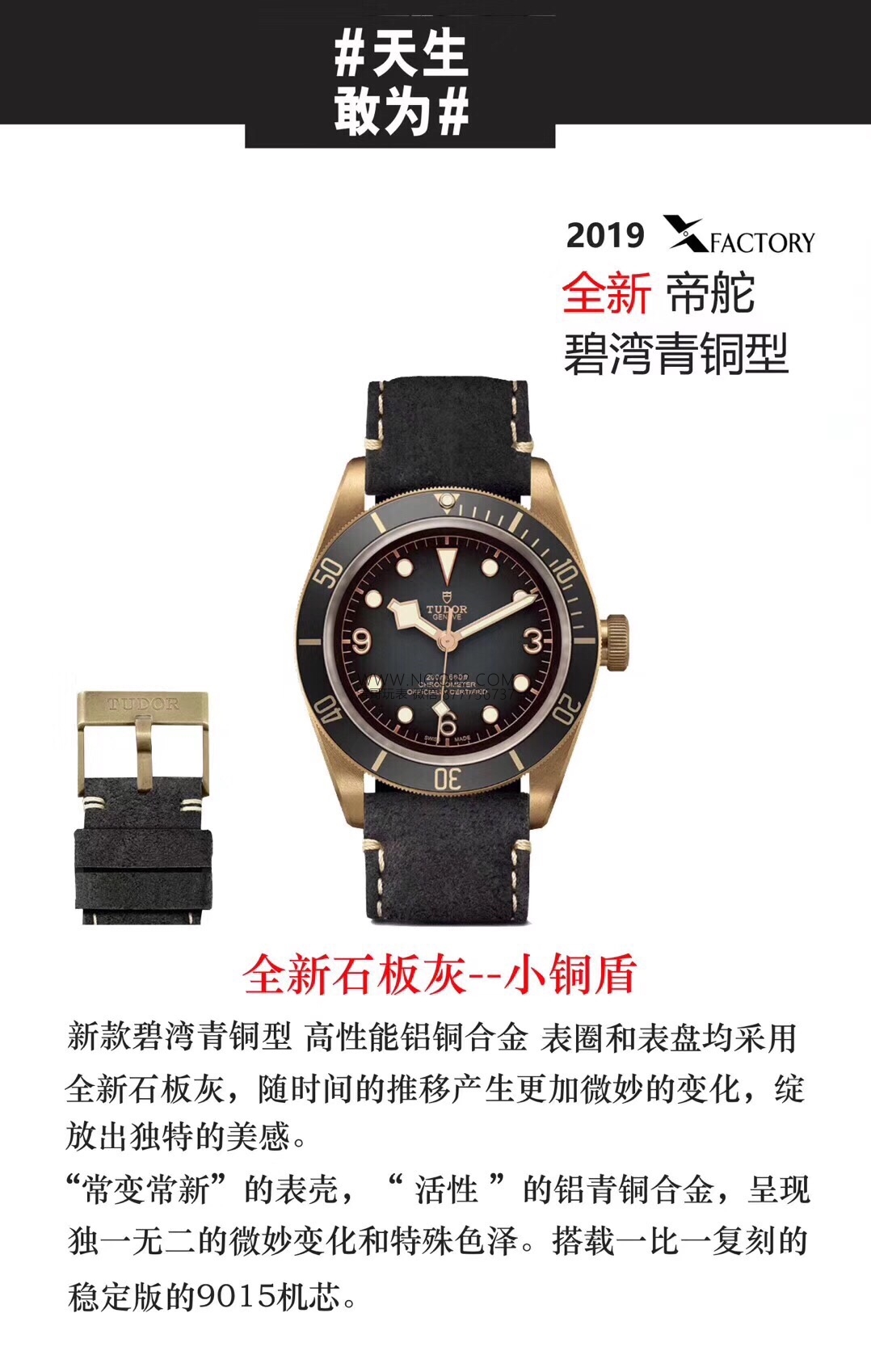 XF Factory Tudor Bronz Arduvaz Grisi M79250BA Kol Saati Detaylı İncelemesi — 2. fotoğraf