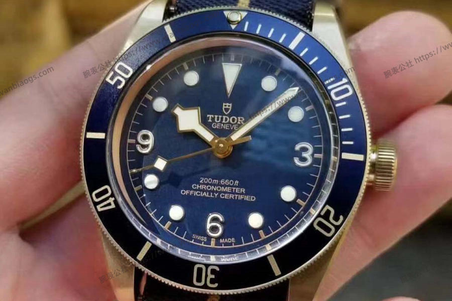XF Factory Tudor Heritage serisi Mavi Bronz V3 versiyonu saatin orijinalle karşılaştırmalı incelemesi — 3. fotoğraf